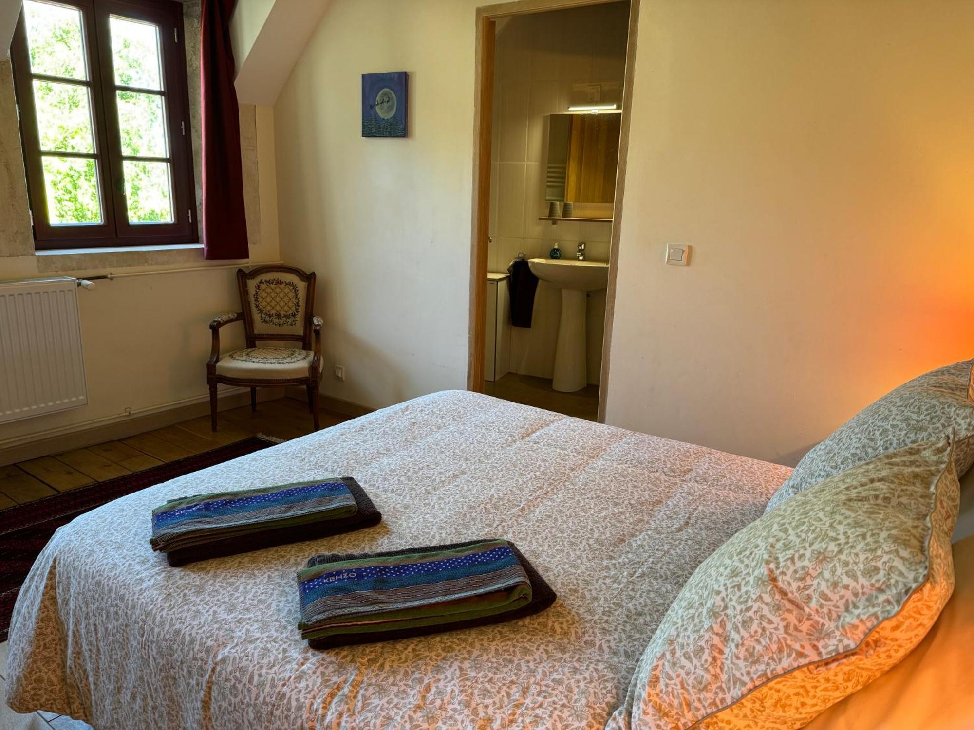 Maison Forte Perreuse Treigny Eksteriør billede